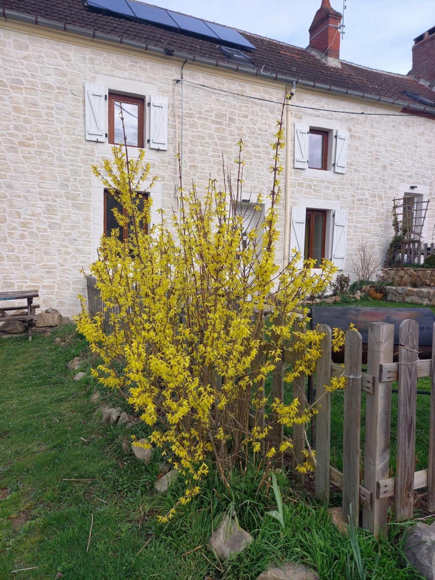 Les Papillons Vrolle