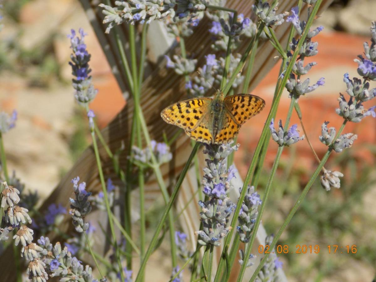 Les Papillons Vakantiehuis