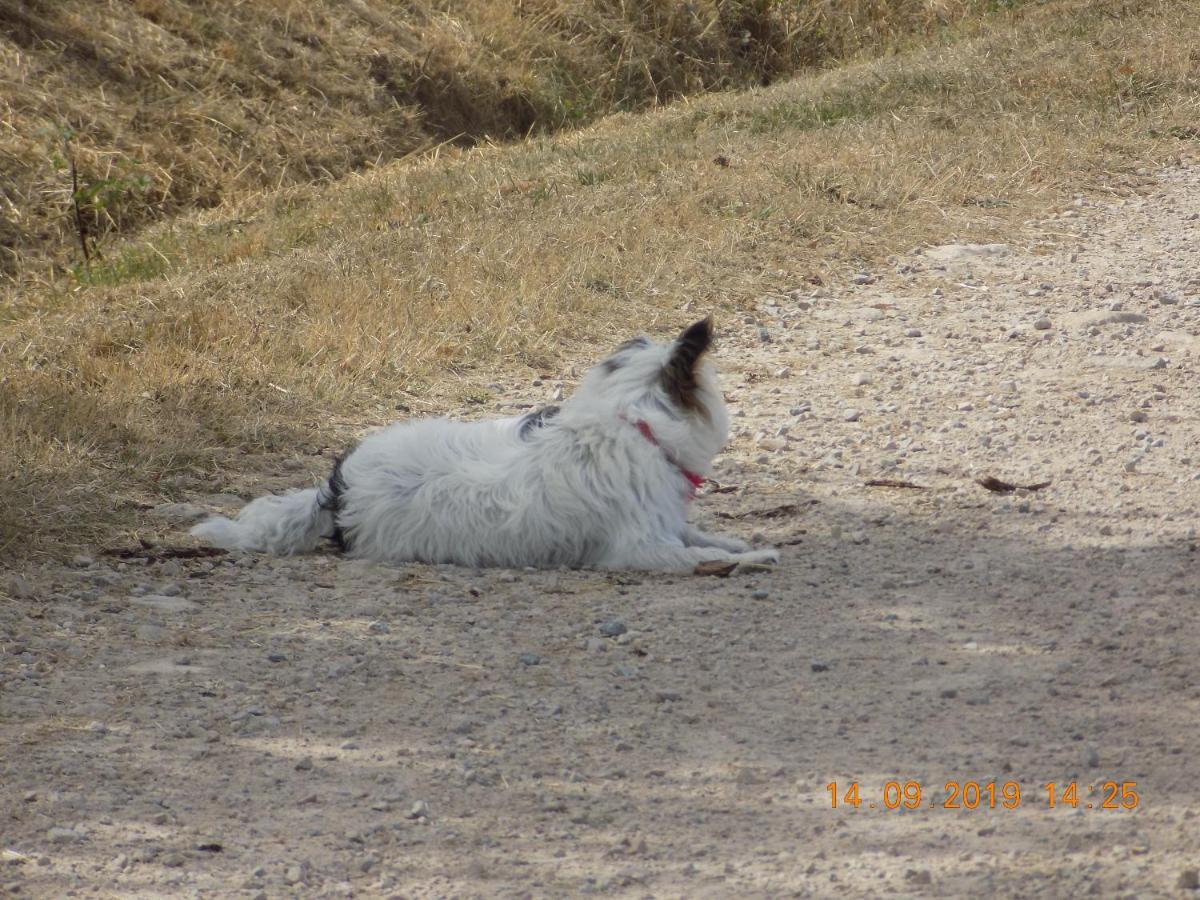 Les Papillons Holiday home Vrolle